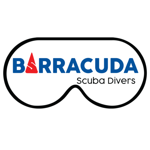 Barracuda scuba divers